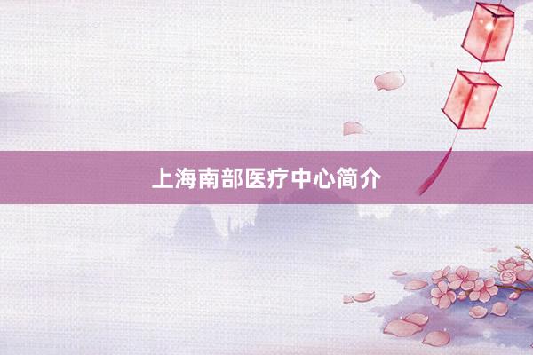 上海南部医疗中心简介